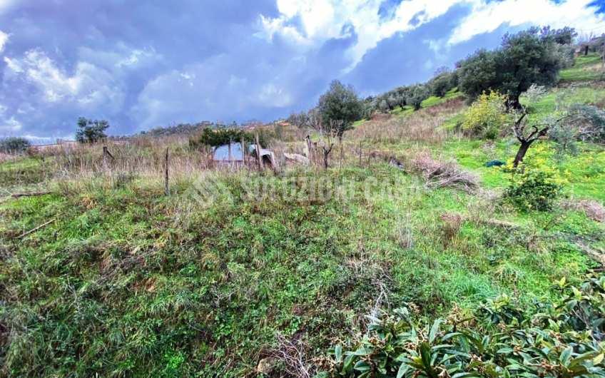 SC1172 Appartamento con cantina nel borgo di Ostigliano a Perito
