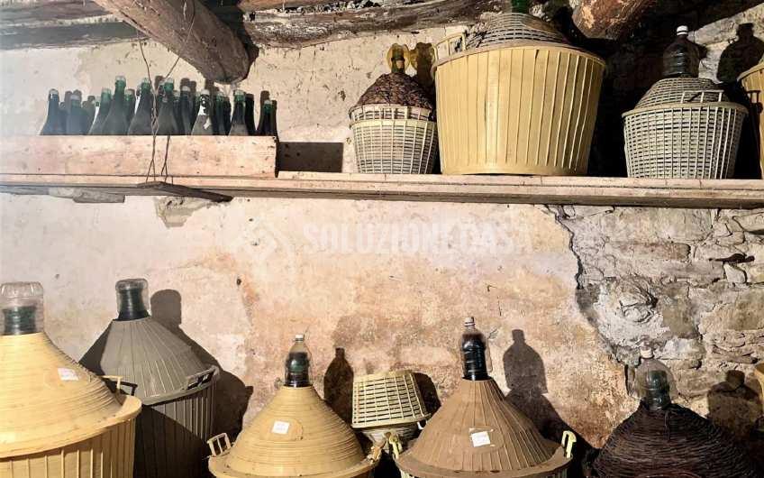 SC1162A Vendesi tre unità abitative ad Ogliastro Cilento, Frazione Finocchito