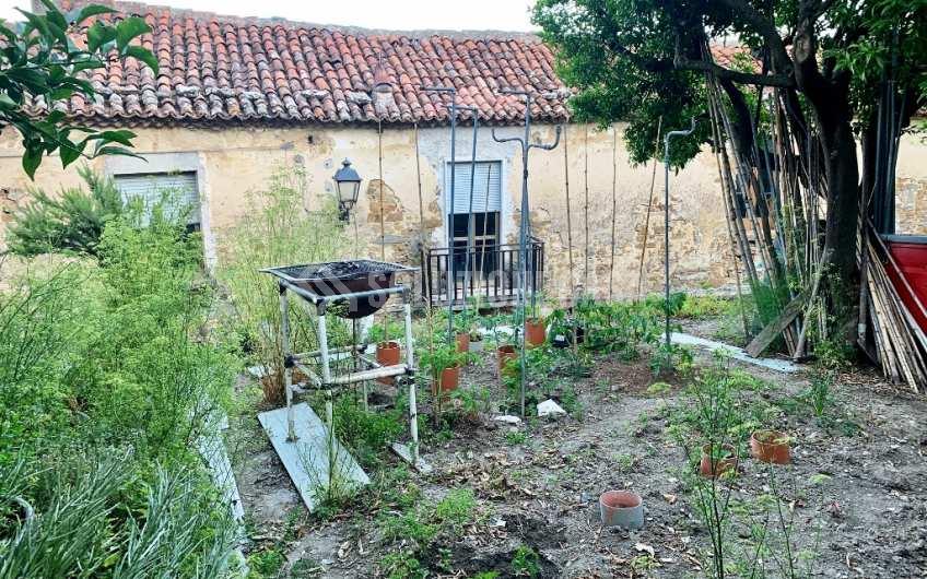 SC1162A Vendesi tre unità abitative ad Ogliastro Cilento, Frazione Finocchito