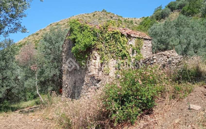 SC1244 Fondo con uliveto e rudere a Serramezzana