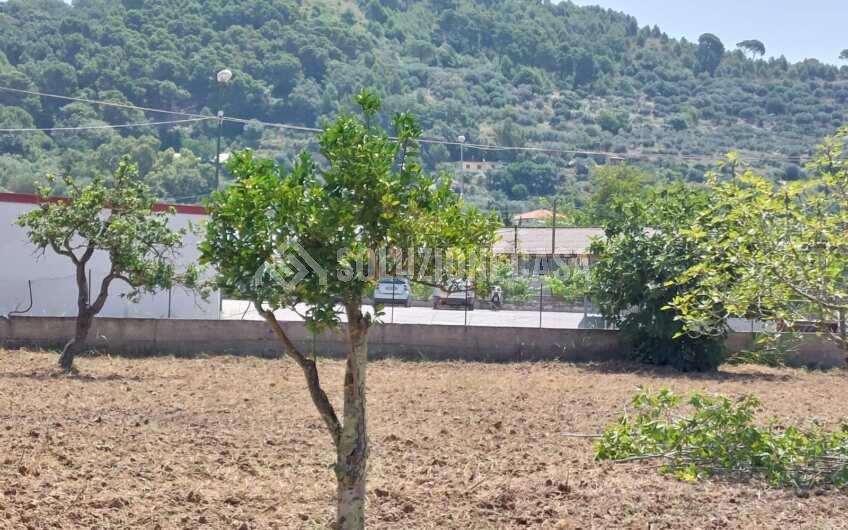 SC1243 terreno in area PIP a San Marco di Castellabate località Annunziata