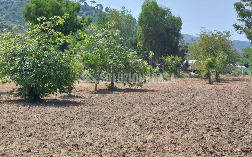 SC1243 terreno in area PIP a San Marco di Castellabate località Annunziata