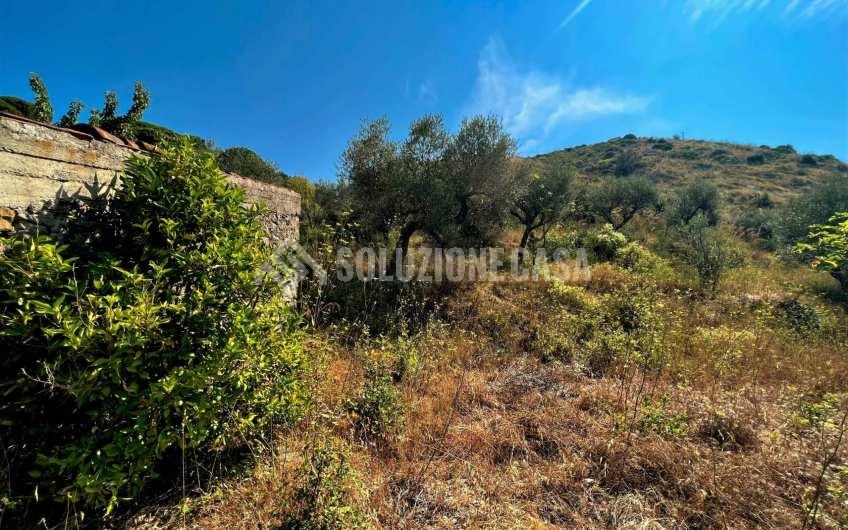 SC1246 Terreno panoramico con deposito in pietra a Vatolla di  Perdifumo
