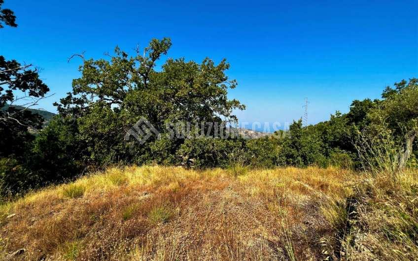 SC1246 Terreno panoramico con deposito in pietra a Vatolla di  Perdifumo