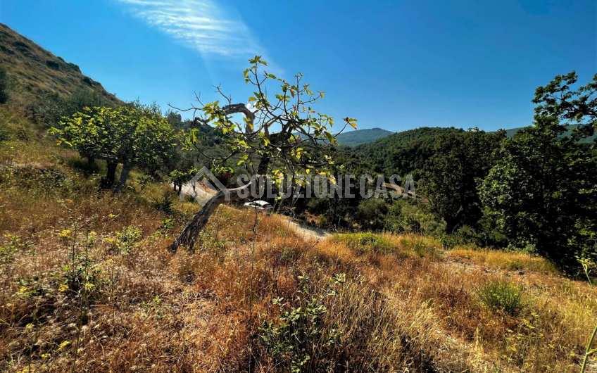 SC1246 Terreno panoramico con deposito in pietra a Vatolla di  Perdifumo