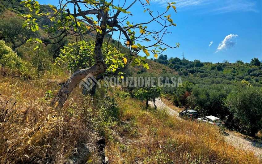 SC1246 Terreno panoramico con deposito in pietra a Vatolla di  Perdifumo