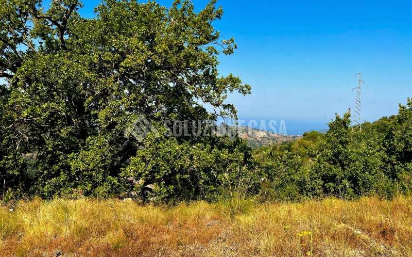 SC1246 Terreno panoramico con deposito in pietra a Vatolla di  Perdifumo