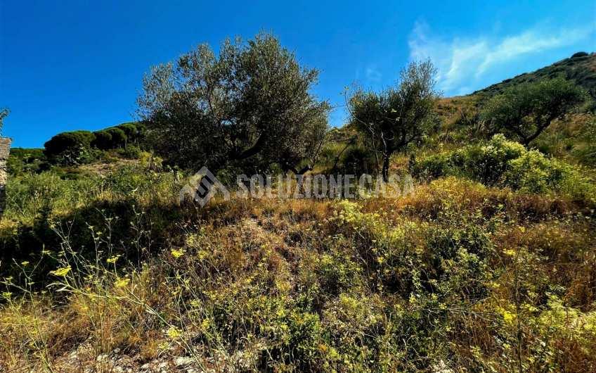 SC1246 Terreno panoramico con deposito in pietra a Vatolla di  Perdifumo