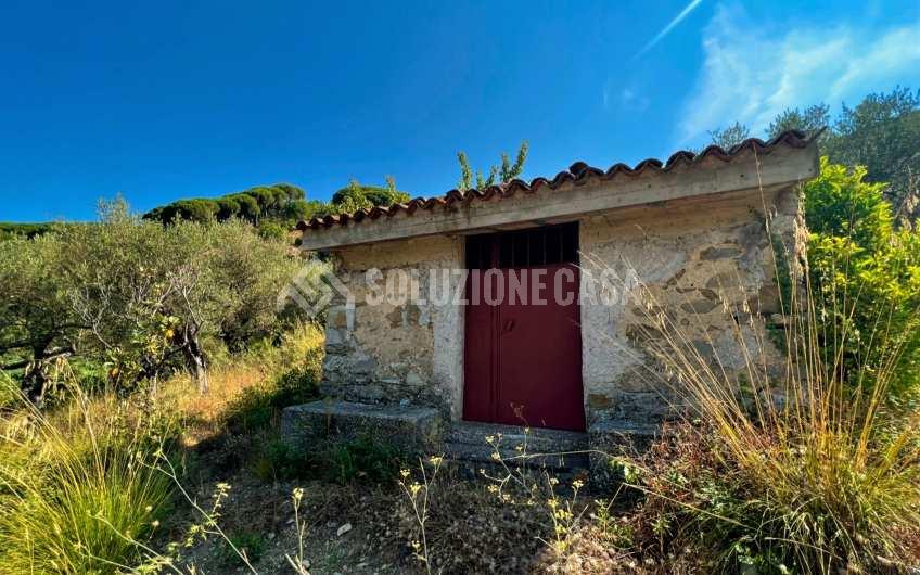 SC1246 Terreno panoramico con deposito in pietra a Vatolla di  Perdifumo