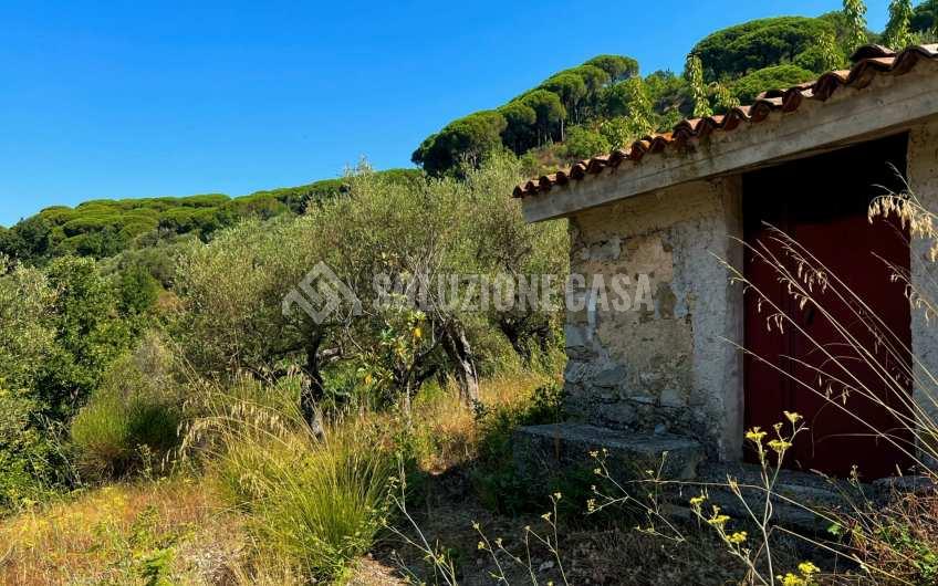 SC1246 Terreno panoramico con deposito in pietra a Vatolla di  Perdifumo