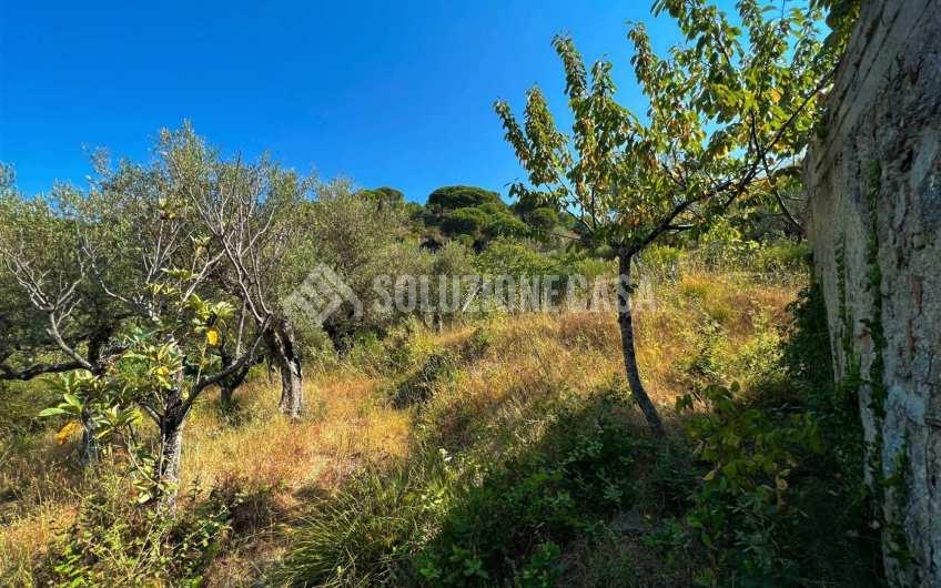 SC1246 Terreno panoramico con deposito in pietra a Vatolla di  Perdifumo