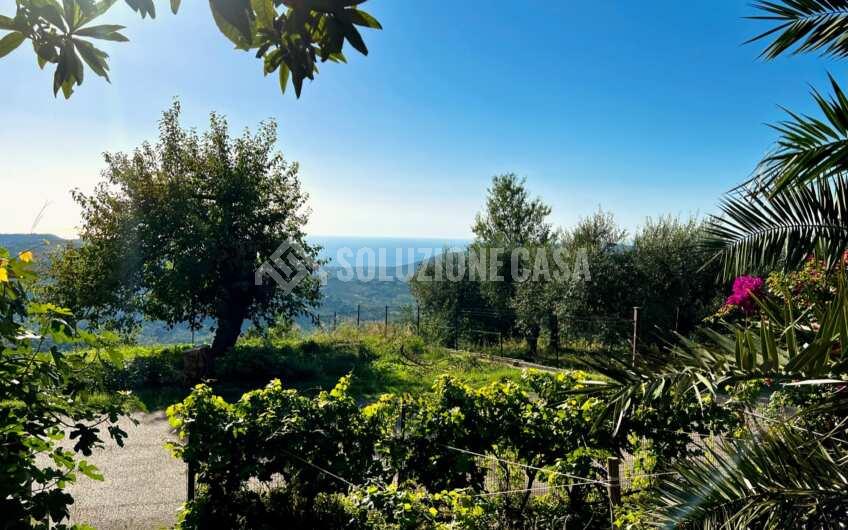 SC1262 Fabbricato affiancato vista mare Laureana Cilento, Fraz. Matonti