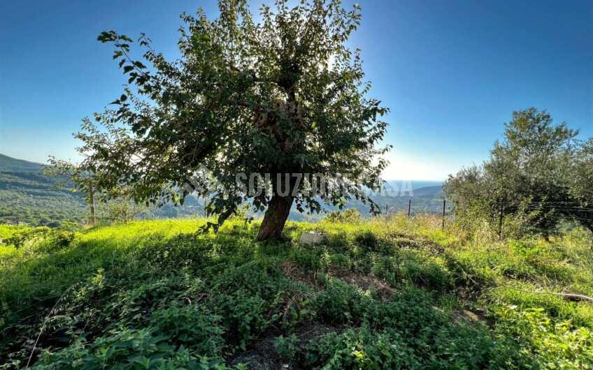 SC1262 Fabbricato affiancato vista mare Laureana Cilento, Fraz. Matonti
