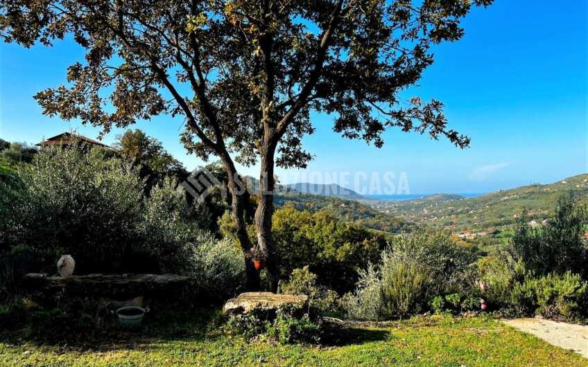 SC1270 Panoramico Casale in pietra con dependance di recente costruzione a Prignano Cilento