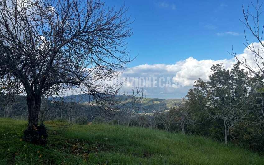 SC1272 Terreno pianeggiante con casale a Perdifumo, Vatolla