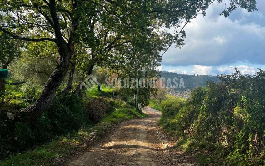 SC1272 Terreno pianeggiante con casale a Perdifumo, Vatolla