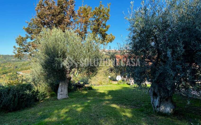 SC1270 Panoramico Casale in pietra con dependance di recente costruzione a Prignano Cilento