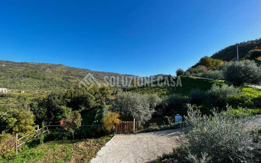 SC1270 Panoramico Casale in pietra con dependance di recente costruzione a Prignano Cilento