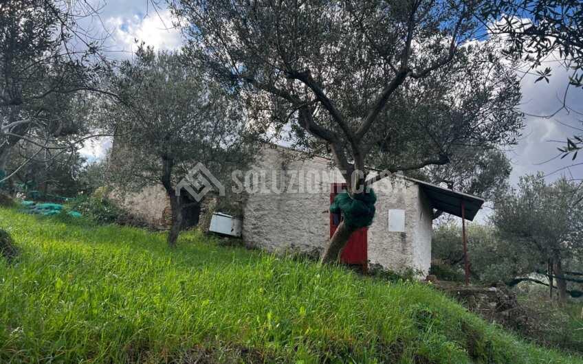 SC1272 Terreno pianeggiante con casale a Perdifumo, Vatolla