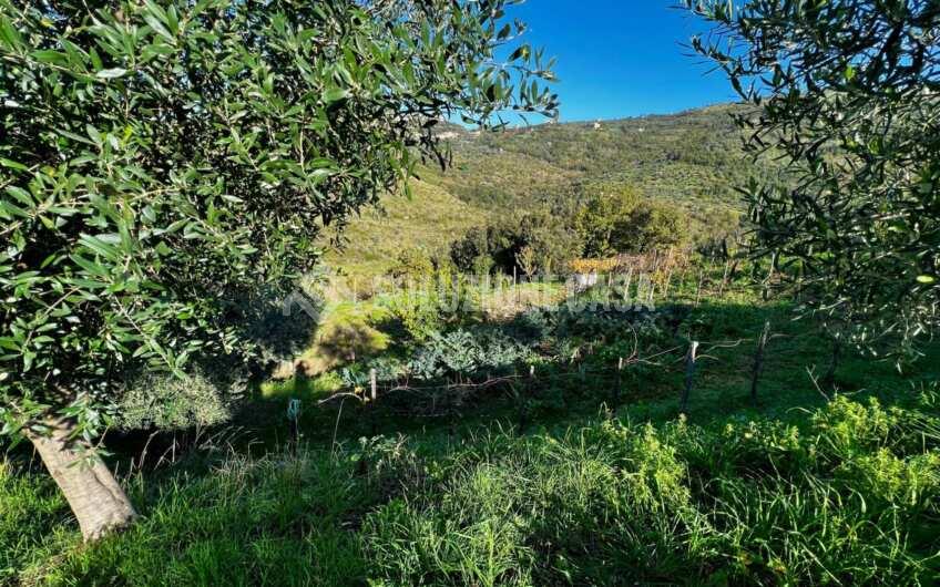 SC1270 Panoramico Casale in pietra con dependance di recente costruzione a Prignano Cilento