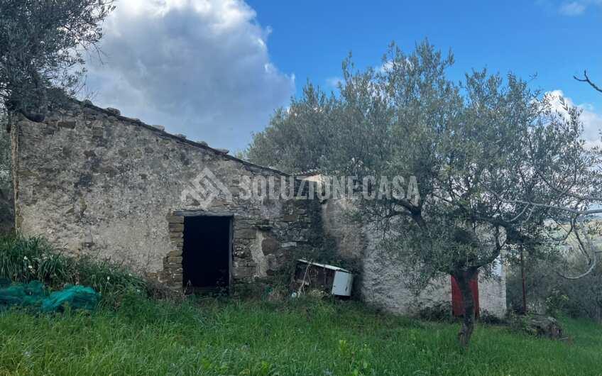 SC1272 Terreno pianeggiante con casale a Perdifumo, Vatolla
