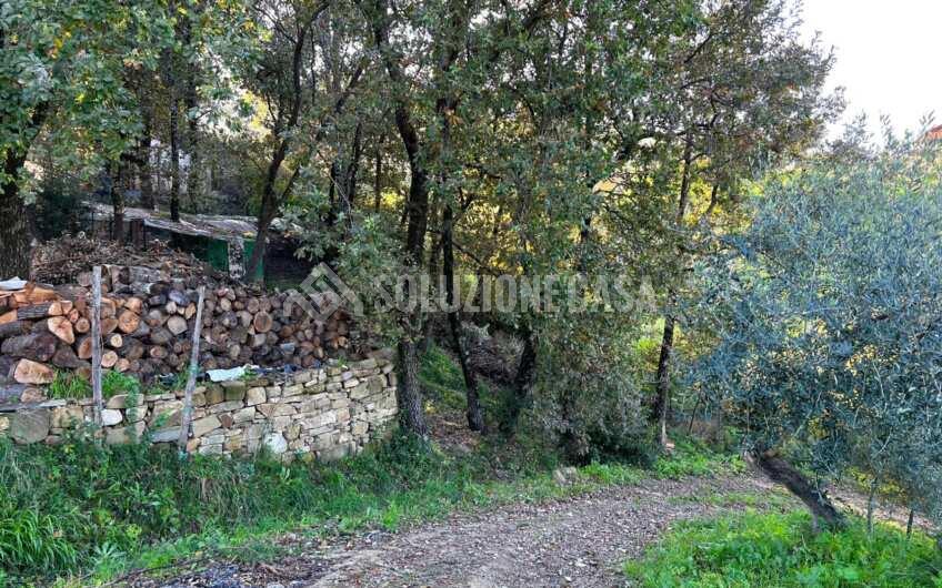 SC1270 Panoramico Casale in pietra con dependance di recente costruzione a Prignano Cilento