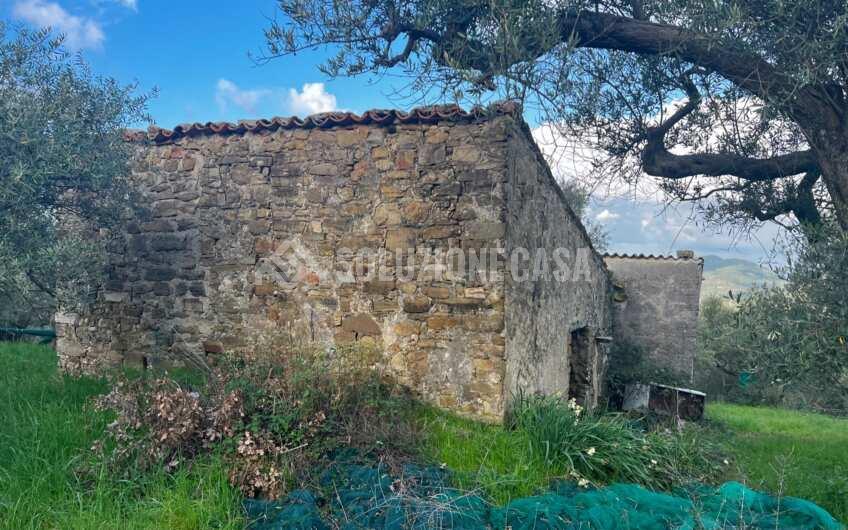 SC1272 Terreno pianeggiante con casale a Perdifumo, Vatolla