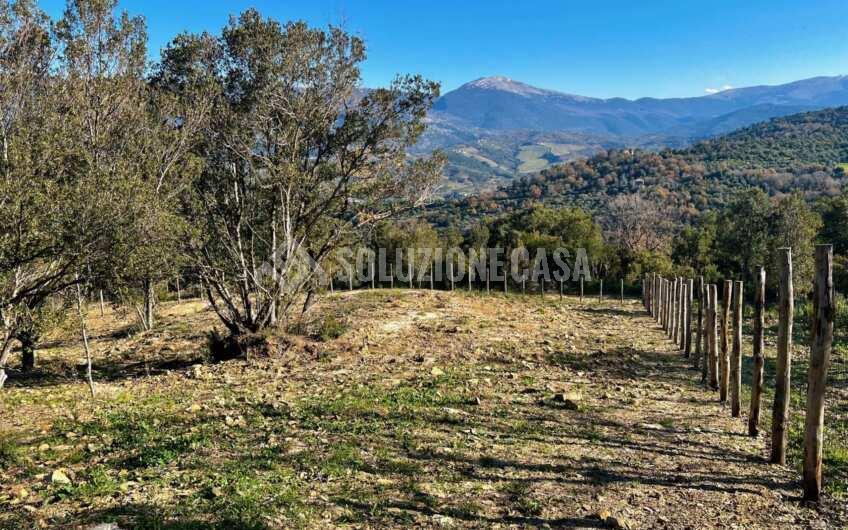 SC1275 Terreno pianeggiante con casale vista mare ad Ogliastro Cilento, Finocchito