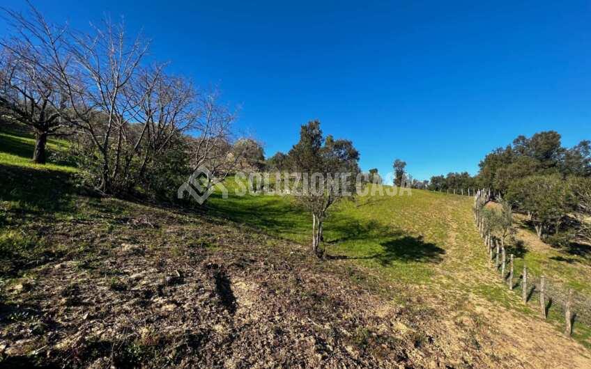 SC1275 Terreno pianeggiante con casale vista mare ad Ogliastro Cilento, Finocchito
