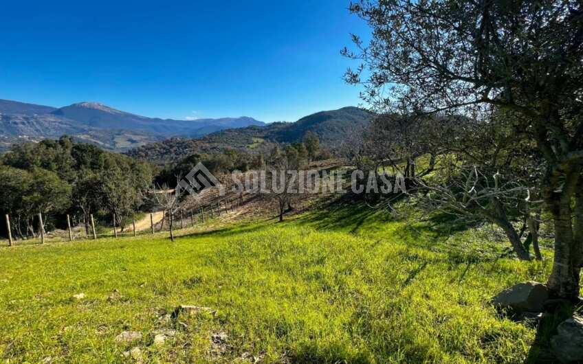 SC1275 Terreno pianeggiante con casale vista mare ad Ogliastro Cilento, Finocchito