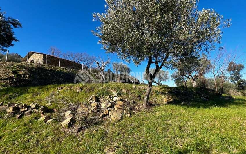 SC1275 Terreno pianeggiante con casale vista mare ad Ogliastro Cilento, Finocchito