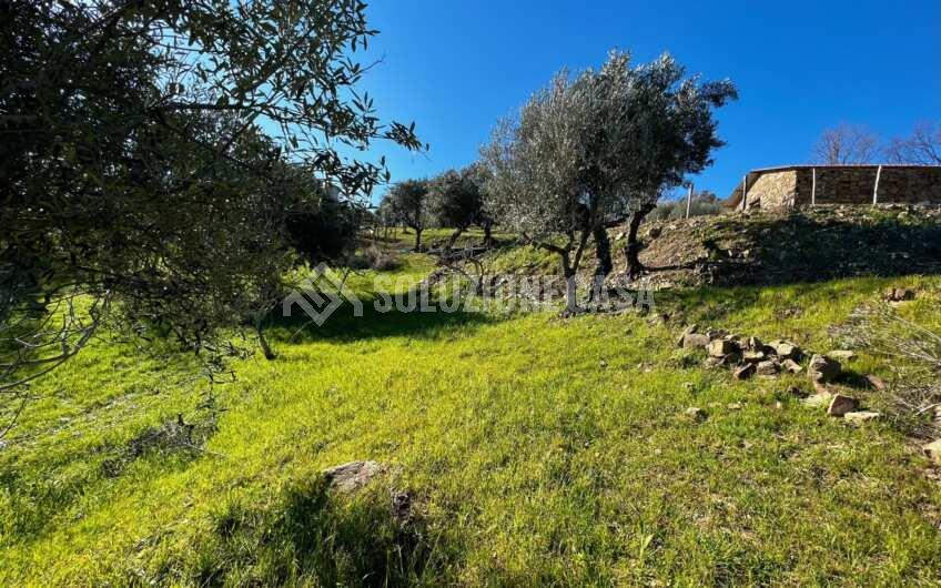 SC1275 Terreno pianeggiante con casale vista mare ad Ogliastro Cilento, Finocchito