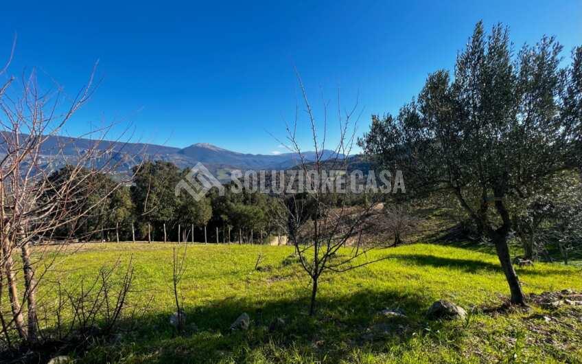 SC1275 Terreno pianeggiante con casale vista mare ad Ogliastro Cilento, Finocchito