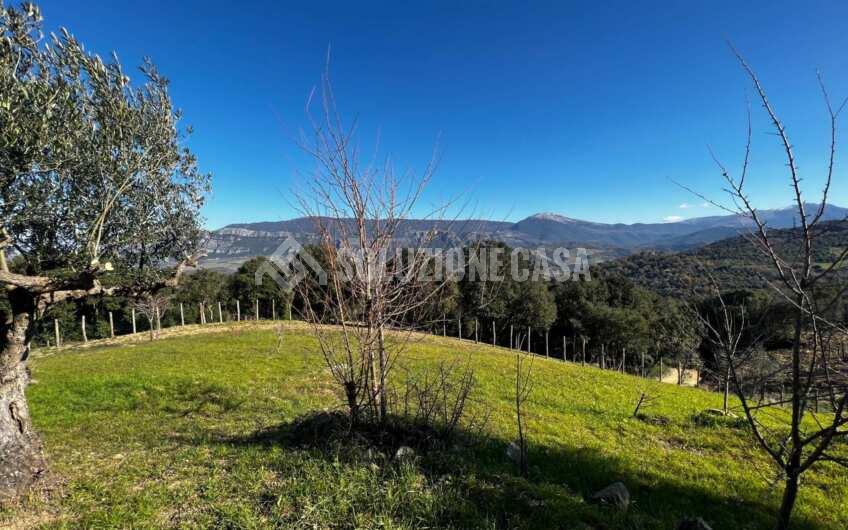 SC1275 Terreno pianeggiante con casale vista mare ad Ogliastro Cilento, Finocchito