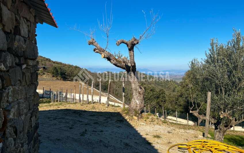 SC1275 Terreno pianeggiante con casale vista mare ad Ogliastro Cilento, Finocchito