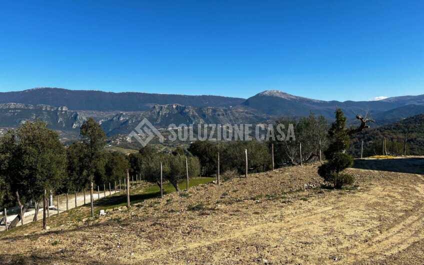 SC1275 Terreno pianeggiante con casale vista mare ad Ogliastro Cilento, Finocchito