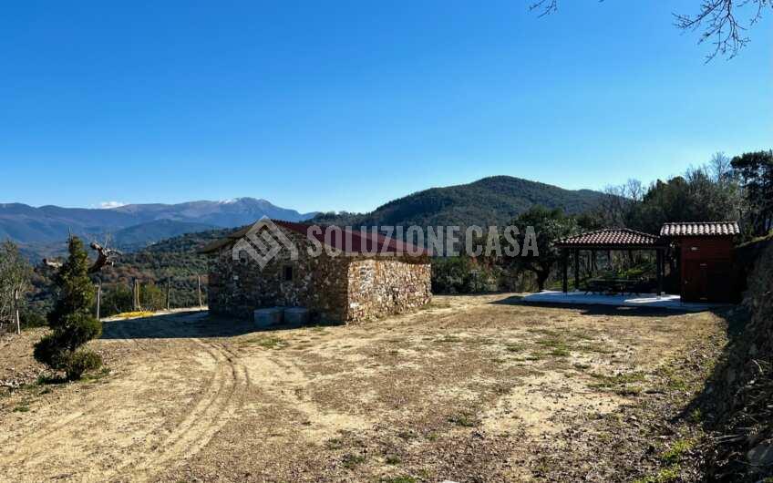 SC1275 Terreno pianeggiante con casale vista mare ad Ogliastro Cilento, Finocchito