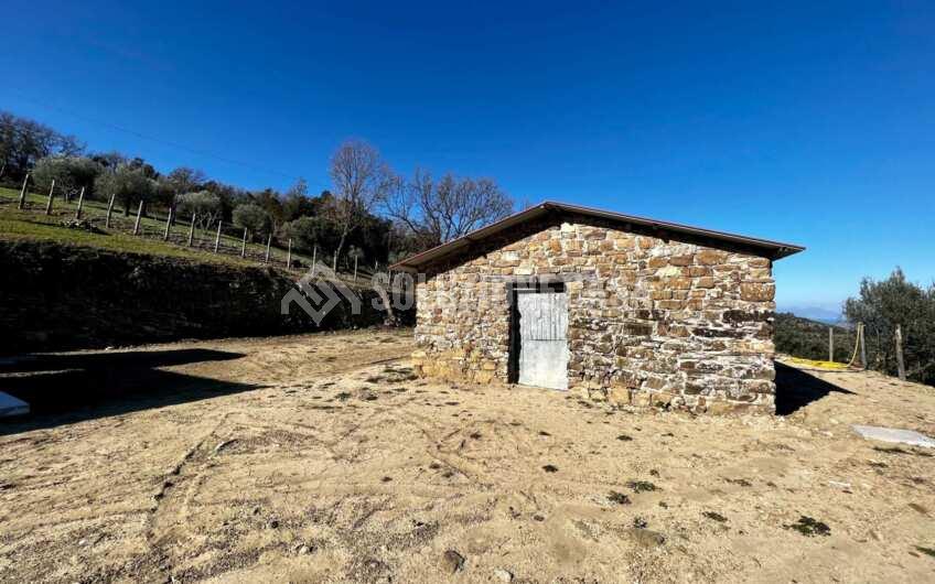 SC1275 Terreno pianeggiante con casale vista mare ad Ogliastro Cilento, Finocchito