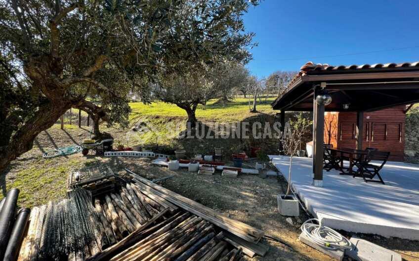 SC1275 Terreno pianeggiante con casale vista mare ad Ogliastro Cilento, Finocchito