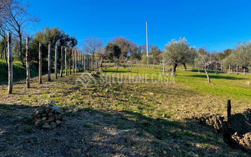 SC1275 Terreno pianeggiante con casale vista mare ad Ogliastro Cilento, Finocchito