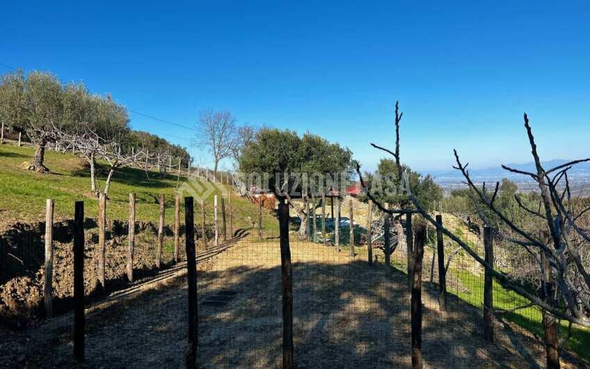 SC1275 Terreno pianeggiante con casale vista mare ad Ogliastro Cilento, Finocchito