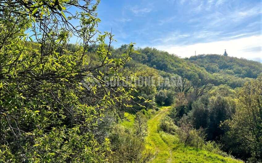 SC1283 Casolari vista mare in vendita sulla collina San Marco di Agropoli