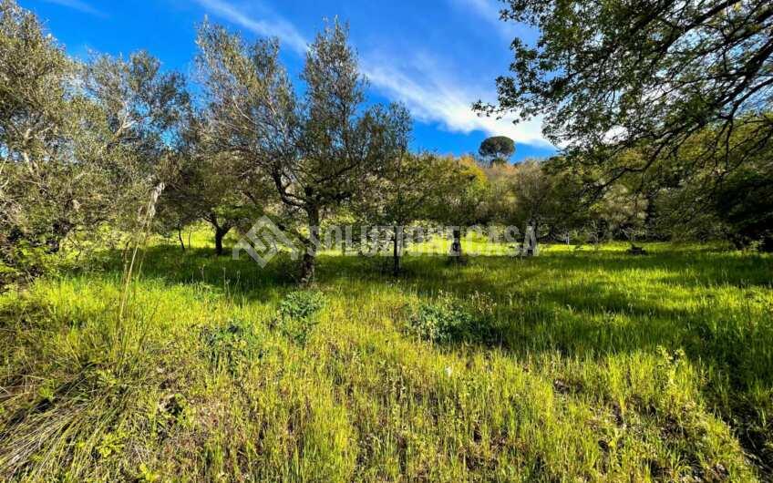 SC1283 Casolari vista mare in vendita sulla collina San Marco di Agropoli