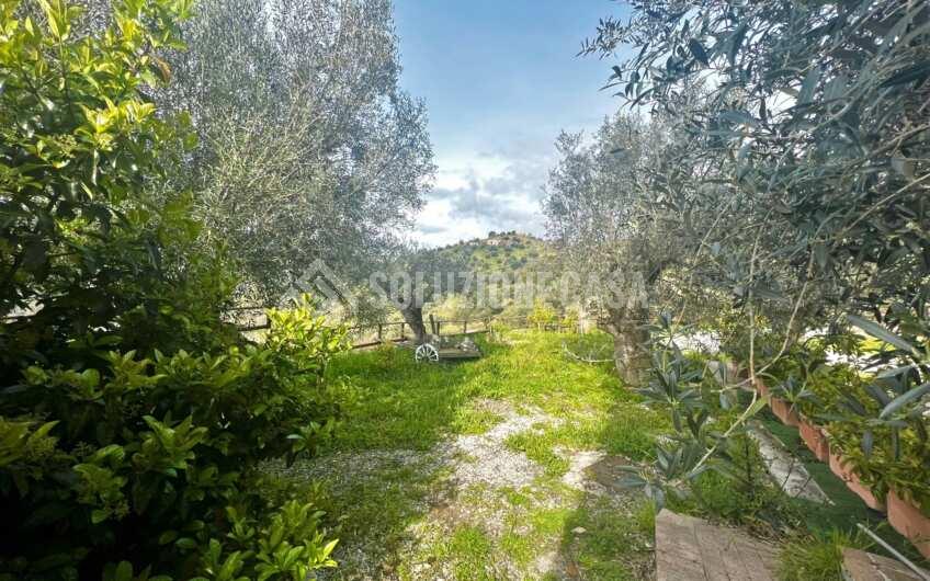 SC1282 Struttura b&b e ristorante con giardino in vendita a Prignano Cilento