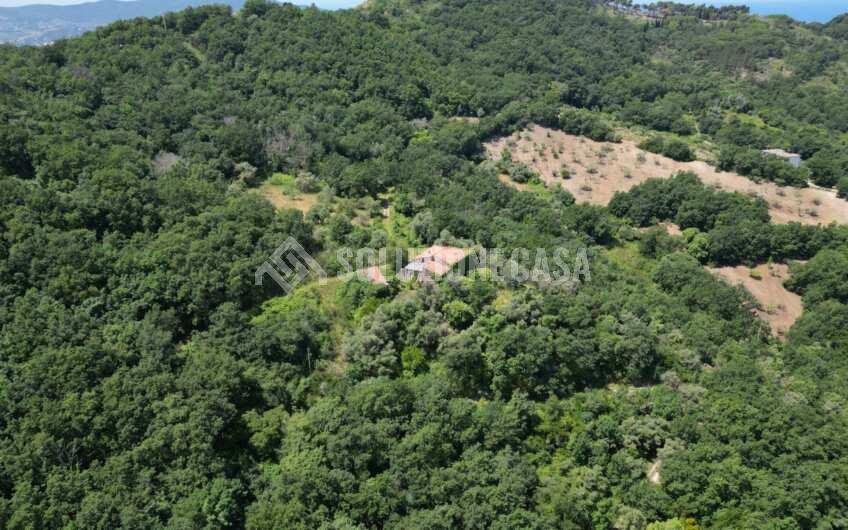 SC1283 Casolari vista mare in vendita sulla collina San Marco di Agropoli