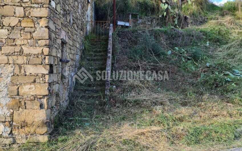 SC1284 Casale affiancato sviluppato su 2 livelli con giardino a Rutino Scalo