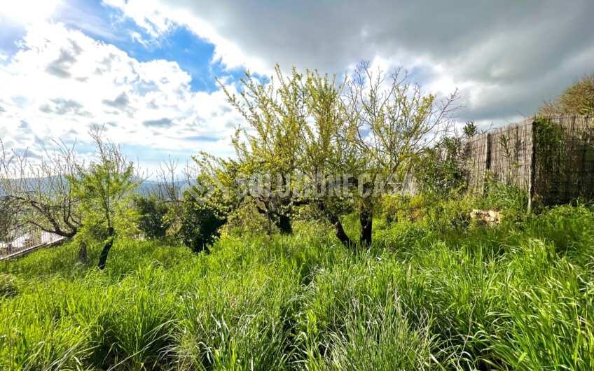 SC936 Antico palazzo del 1800 con vista mare e giardino a Prignano Cilento