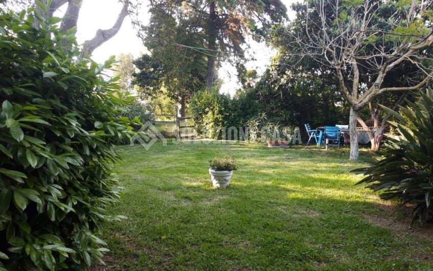 SC1287 Appartamento con giardino a San Marco di Castellabate