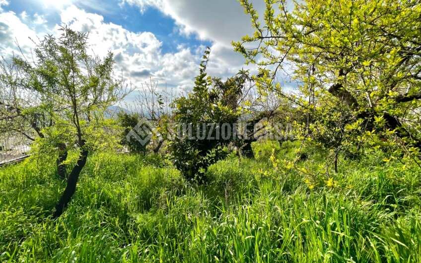 SC936 Antico palazzo del 1800 con vista mare e giardino a Prignano Cilento
