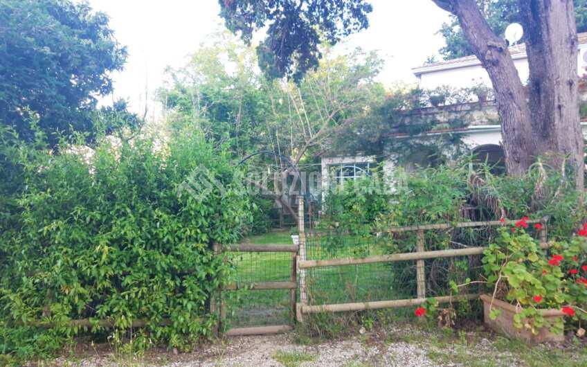SC1287 Appartamento con giardino a San Marco di Castellabate